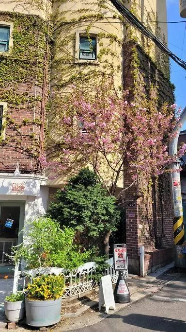 Artistic Inspiration 2Br #Local #Rest #Private Onmoda Seoul South Korea